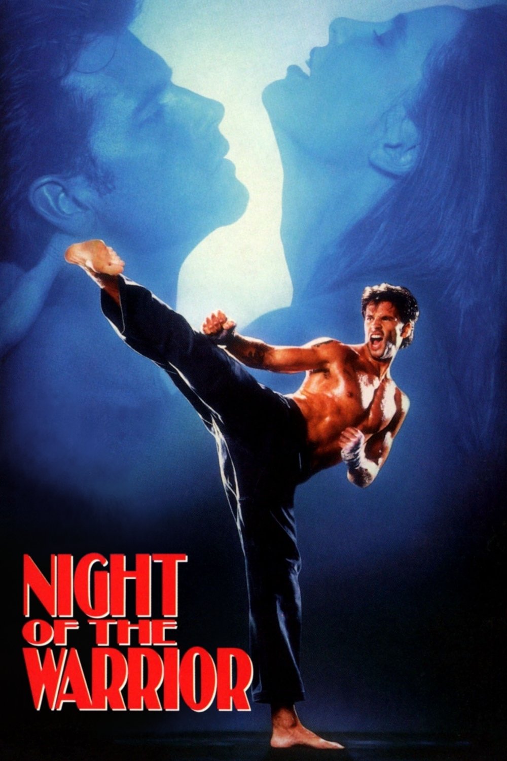 Постер Night of the Warrior